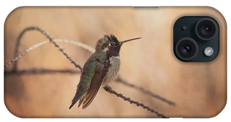Hummingbird iPhone Case featuring the photograph Costa's Hummingbird Out On A Limb by Saija Lehtonen