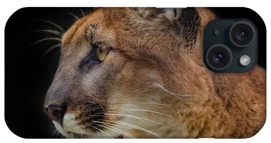  iPhone Case featuring the photograph Cougar Profile by Mitch Shindelbower