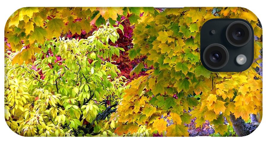 Autumn iPhone Case featuring the photograph Country Color 15 by Will Borden