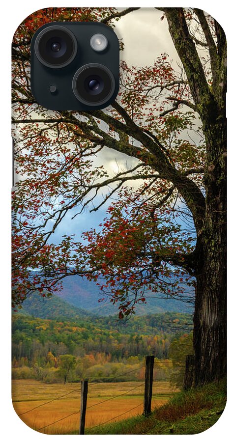 Appalachia iPhone Case featuring the photograph Country Maple along the Lane Painting by Debra and Dave Vanderlaan