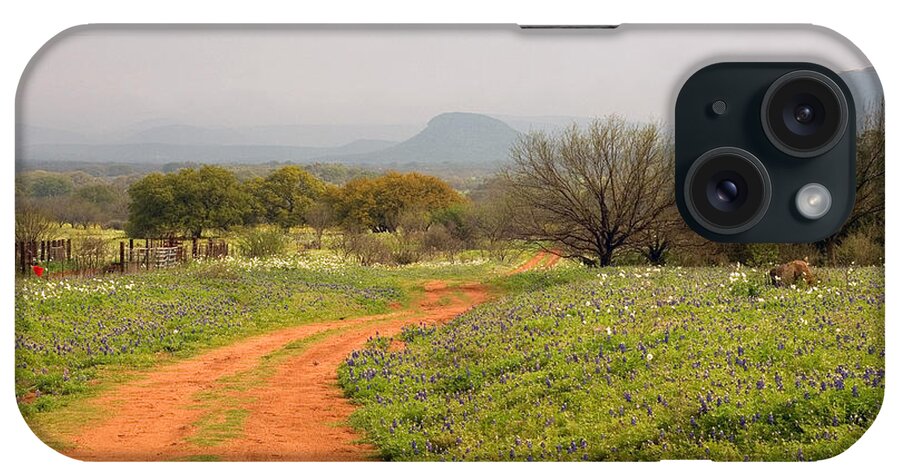 Country Road iPhone Case featuring the photograph Country Road with Wild flowers by Brian Kinney