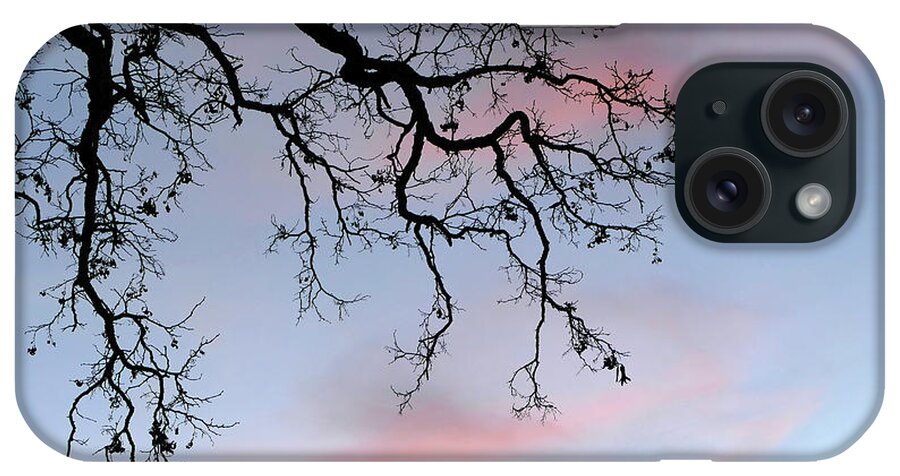 Cove Fort iPhone Case featuring the photograph Sunset Tree by JustJeffAz Photography