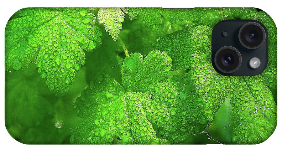 Leaves iPhone Case featuring the photograph Covered in Rain Drops by Michele Penner