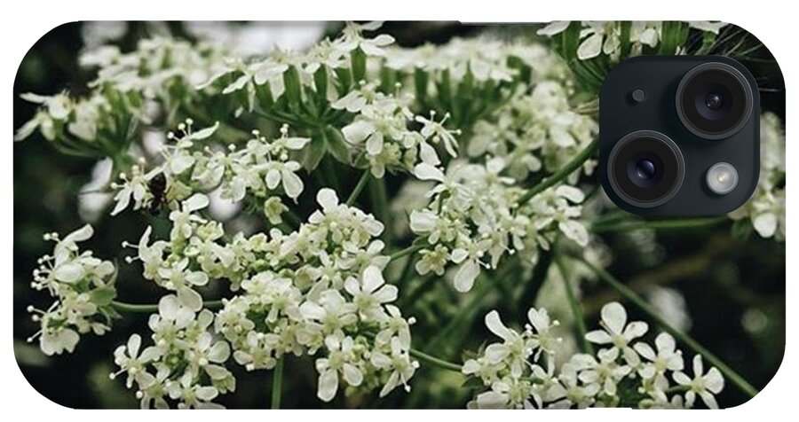 Herbaceousbiennial iPhone Case featuring the photograph #cowparsley #anthriscussylvestris by Emma Gillett