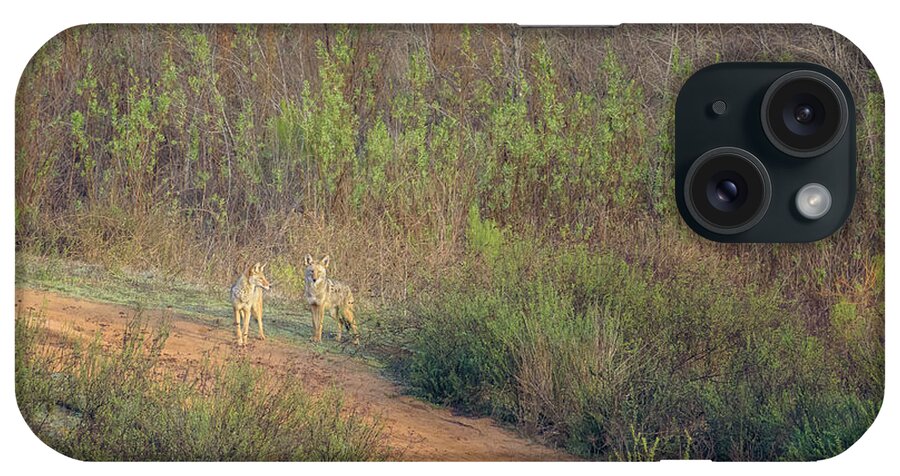 Coyote iPhone Case featuring the photograph Coyotes in Morning Light by Shuwen Wu