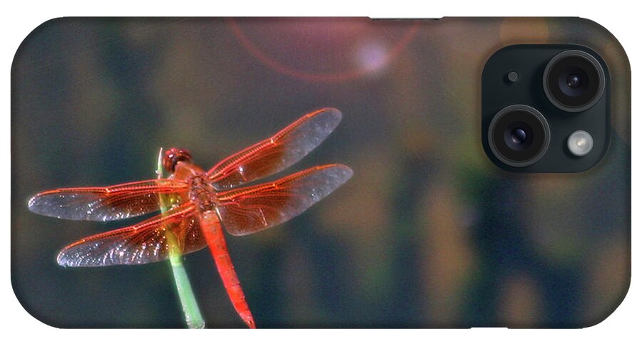 Dragonfly iPhone Case featuring the photograph Crackerjack Dragonfly by Matalyn Gardner