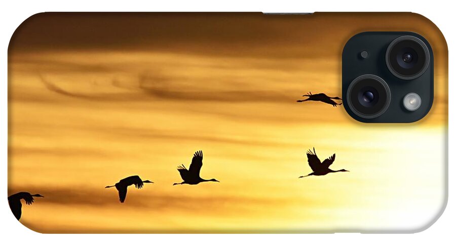 Photography iPhone Case featuring the photograph Cranes at Sunrise 2 by Larry Ricker