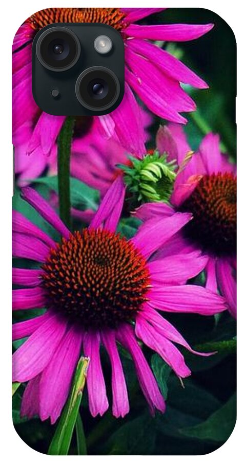  iPhone Case featuring the photograph Crazy for Coneflowers by Kendall McKernon