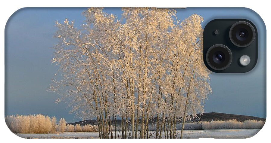 Snow iPhone Case featuring the photograph Creamer Field by Louise Magno