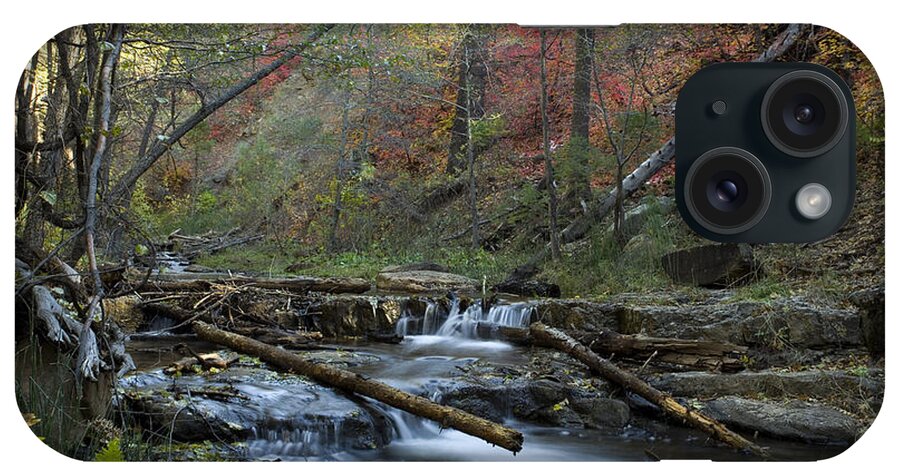 Autumn iPhone Case featuring the photograph Creekside Color by Sue Cullumber