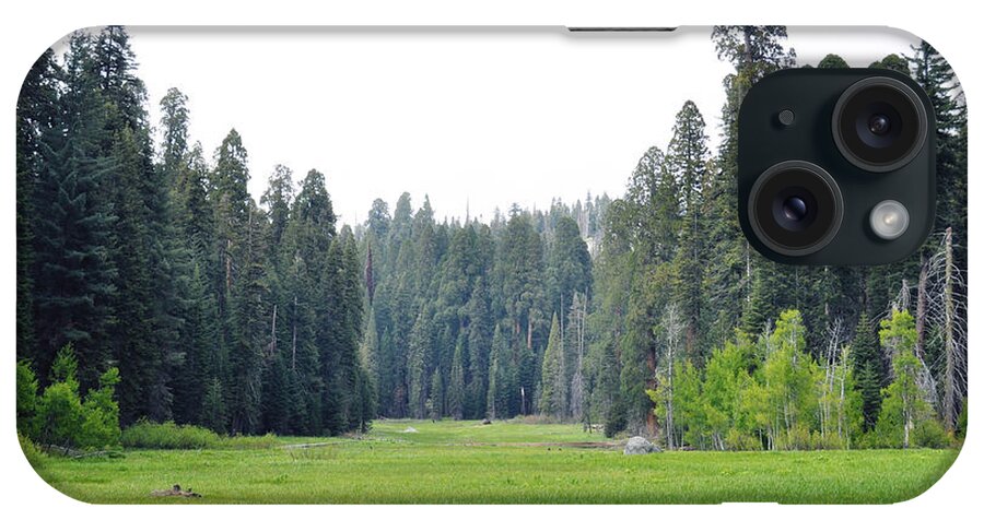 Sequoia National Park iPhone Case featuring the photograph Crescent Meadow by Kyle Hanson