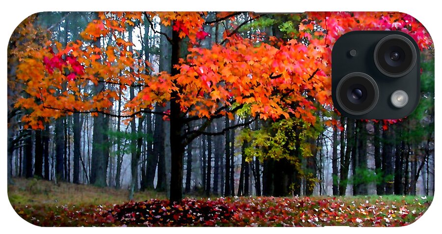 Autumn iPhone Case featuring the painting Crimson Tree by Paul Sachtleben