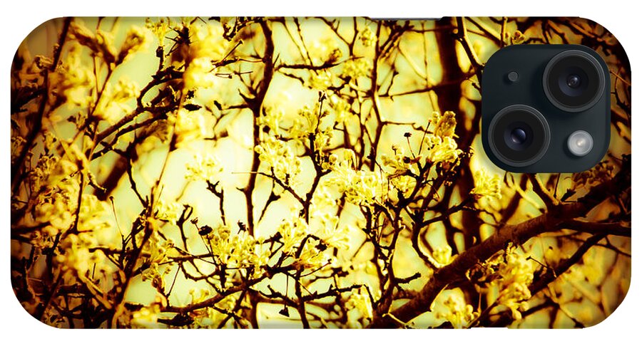 Tree Branches That Kind Of Resemble The Synapse Of Our Brains. Shot In Nyc. iPhone Case featuring the photograph Crip l by Robin Coaker