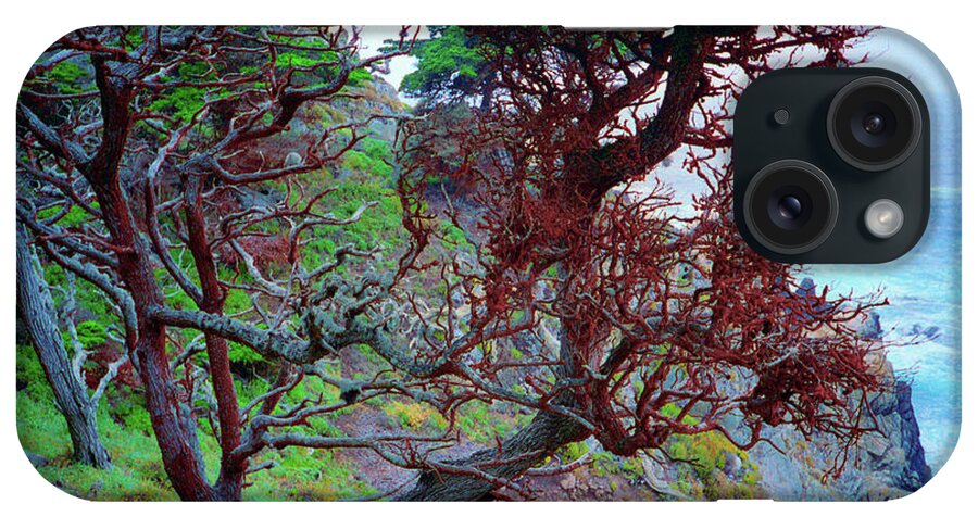 Cypress iPhone Case featuring the photograph Cypress Tree Ocean Vew Point Lobos State Park Carmel California by Kathy Anselmo
