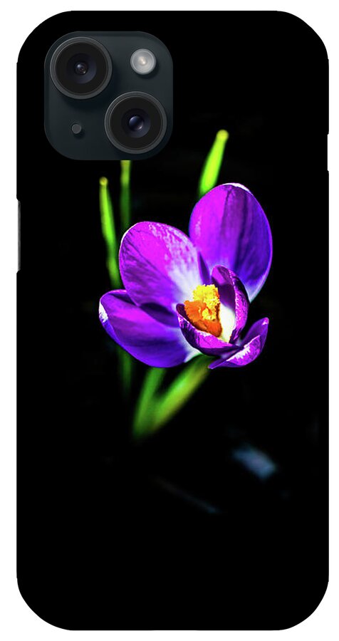 Flower iPhone Case featuring the pyrography Crocus 2018-2 by Barry Wills