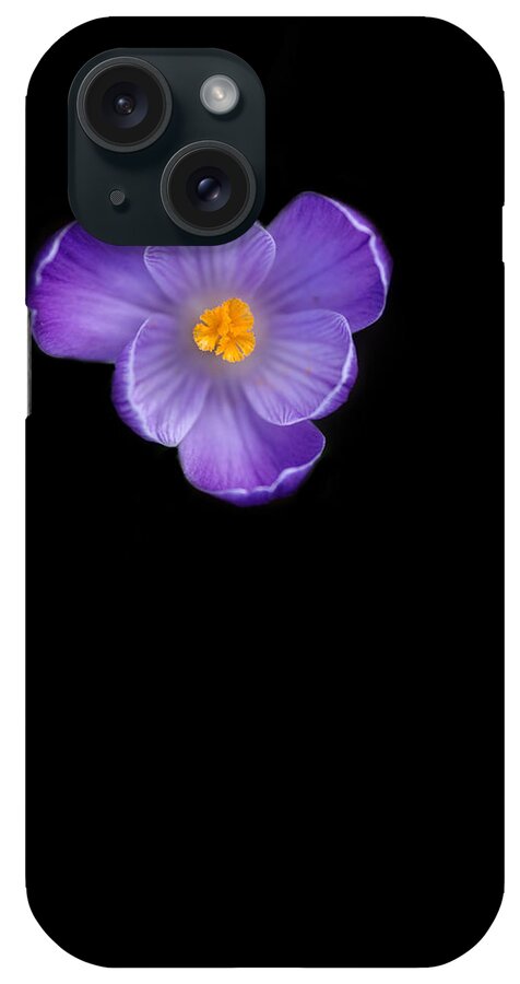 Purple iPhone Case featuring the photograph Crocus by Rebecca Cozart