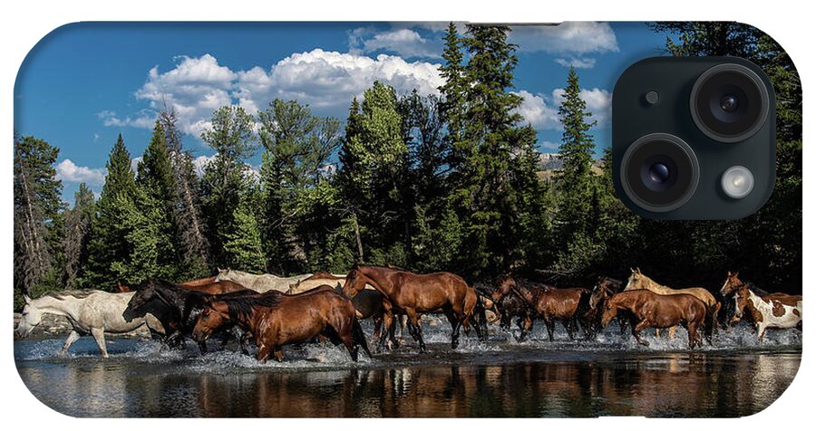 Horses iPhone Case featuring the photograph Crossing Over by Pamela Steege