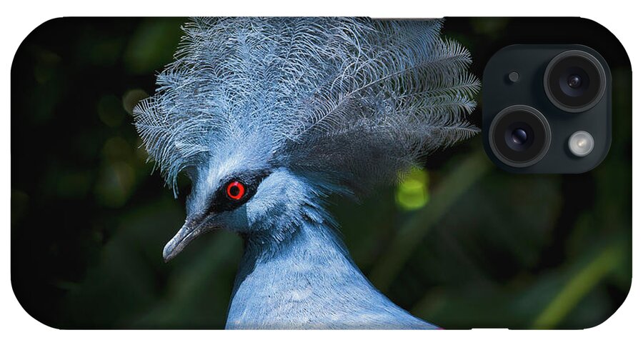 Crowned Pigeon iPhone Case featuring the photograph Crowned Pigeon by Mitch Shindelbower