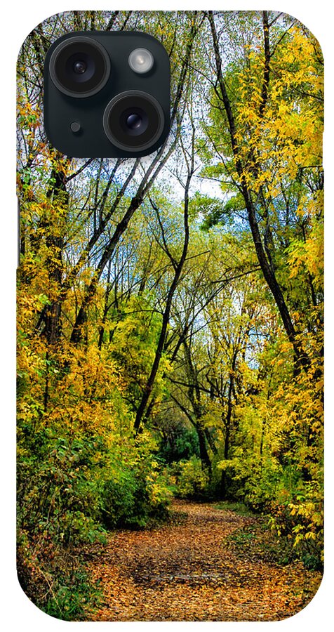 Fall Leaves iPhone Case featuring the photograph Crunchy Leaves by Juli Ellen