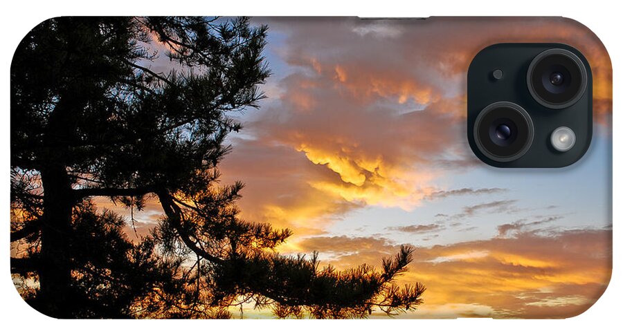 Nature iPhone Case featuring the photograph Cumulus Clouds Plum Island by Michael Hubley