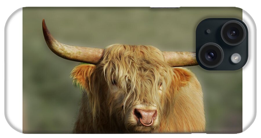 Highland Cow iPhone Case featuring the photograph Curious Highlander by Veli Bariskan