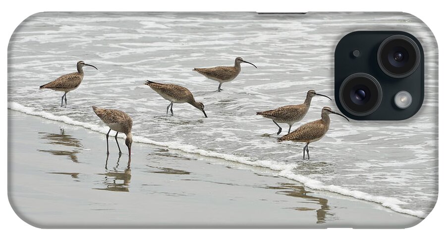 Birds iPhone Case featuring the photograph Curlews at the Beach by Erik Burg