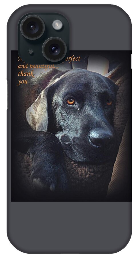 Black Lab iPhone Case featuring the photograph Custom Paw Print Midnight My Best Friend by Sue Long