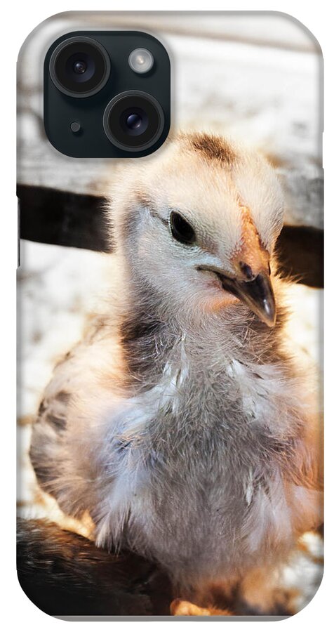 Nature Backgrounds iPhone Case featuring the photograph Cute Baby Chick by Debra Forand