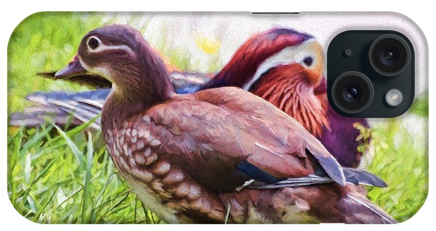 Ducks iPhone Case featuring the photograph Cute Couple - Mandarin Ducks by Kerri Farley