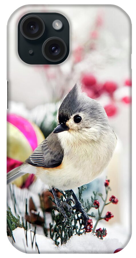 Bird iPhone Case featuring the photograph Cute Winter Bird - Tufted Titmouse by Christina Rollo