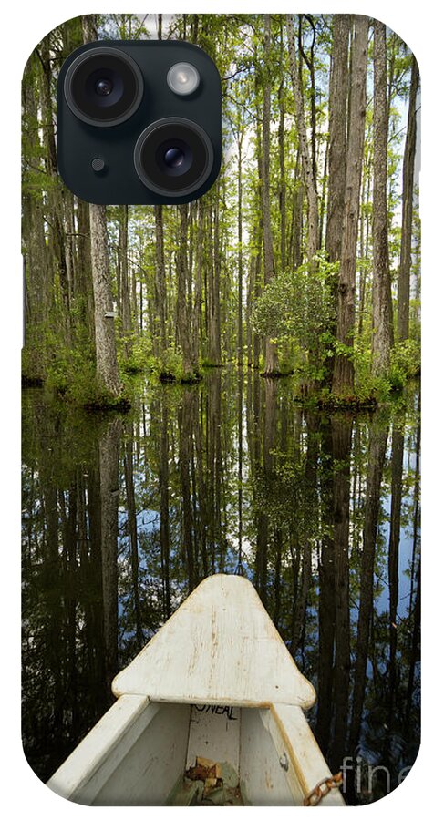 Cypress Gardens iPhone Case featuring the photograph Cypress Garden Swamp by Dustin K Ryan