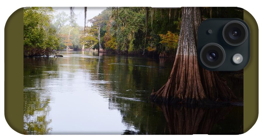 Cypress High Water Mark iPhone Case featuring the photograph Cypress High Water Mark by Warren Thompson