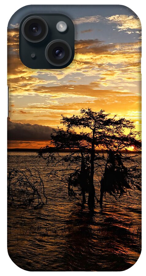 Cypress iPhone Case featuring the photograph Cypress Sunset by Judy Vincent