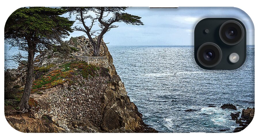 Cypress iPhone Case featuring the photograph Cypress Tree on the Point by Rick Strobaugh