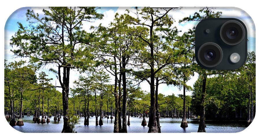 Cypress Trees iPhone Case featuring the photograph Cypress Trees of Georgia by Tara Potts