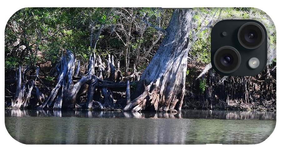 Cypress Waterscape - Light iPhone Case featuring the photograph Cypress Waterscape by Warren Thompson