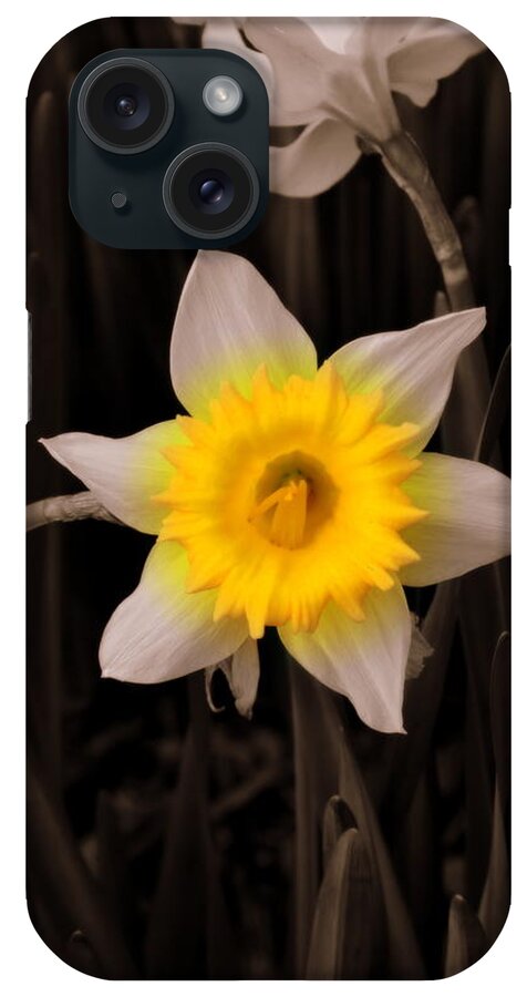 Daffodil iPhone Case featuring the photograph Daffodil by Lisa Wooten