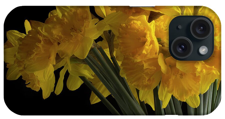 Flowers iPhone Case featuring the photograph Daffodil by Mike Eingle