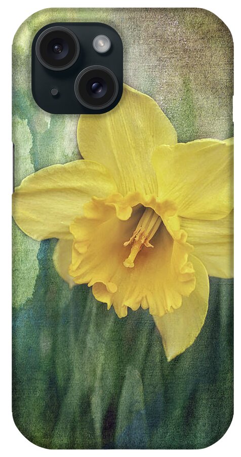 Daffodils In Bloom Print iPhone Case featuring the photograph Daffodils in Bloom by Gwen Gibson