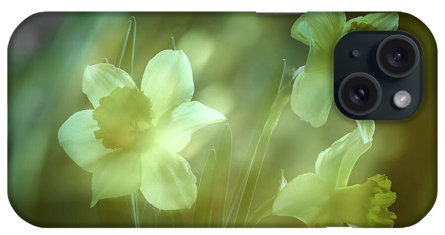 Daffodils iPhone Case featuring the photograph Daffodils1 by Loni Collins