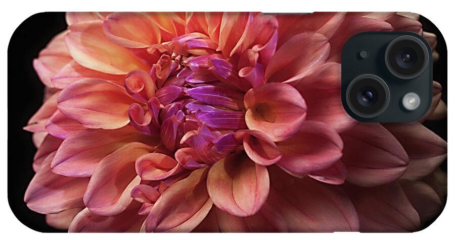 Flower iPhone Case featuring the photograph Dahlia 'Ferncliff Copper' by Ann Jacobson