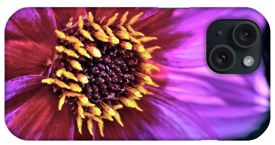 Red Dahlia Flower iPhone Case featuring the photograph Dahlia Flower Portrait by Martyn Arnold