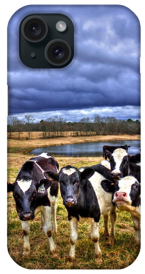 Reid Callaway Dairy Heifer Groupies 2 iPhone Case featuring the photograph Dairy Heifer Groupies Future Chick-fil-A Starrs by Reid Callaway