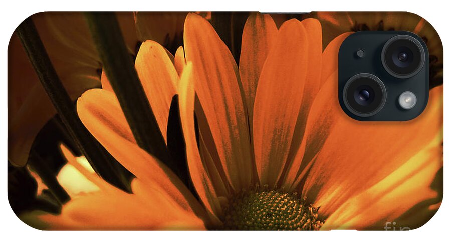 Wall Art iPhone Case featuring the photograph Daisies All Around by Kelly Holm