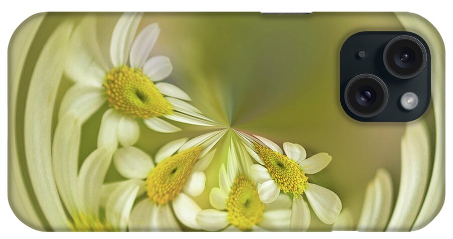 Floral iPhone Case featuring the photograph Daisies by Cheryl Day