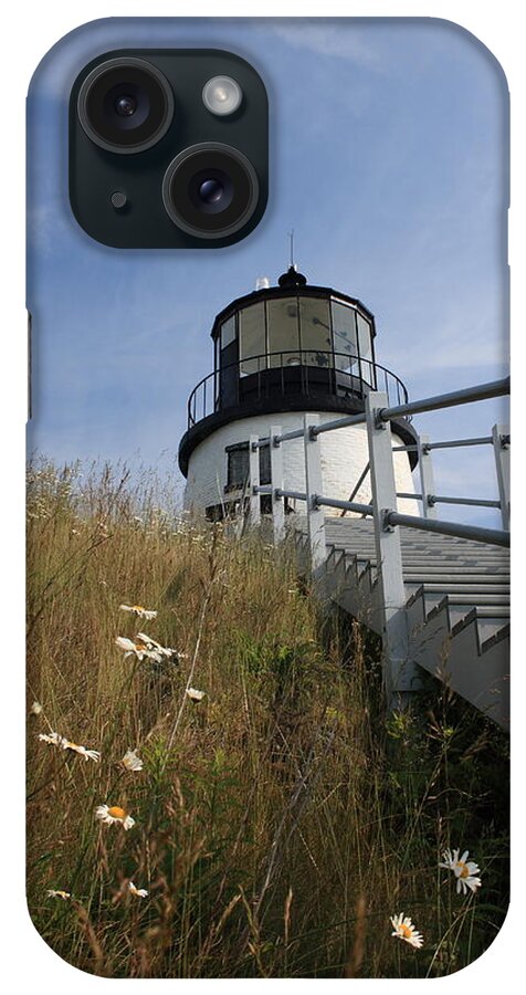 Seascape iPhone Case featuring the photograph Daisies by Doug Mills