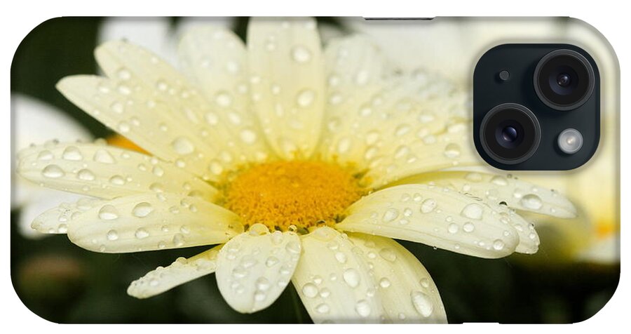 Daisy iPhone Case featuring the photograph Daisy After Shower by Angela Rath