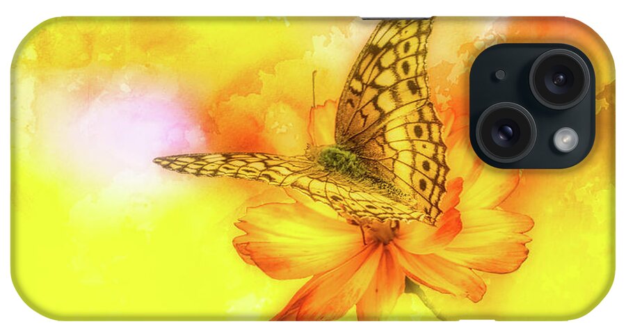 Flower iPhone Case featuring the photograph Daisy for a Butterfly by Ches Black