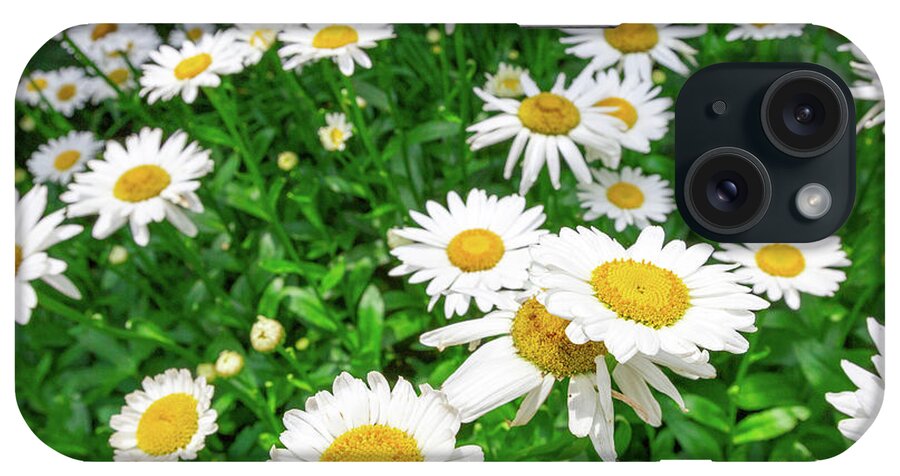 Bright iPhone Case featuring the photograph Daisy Garden by SR Green