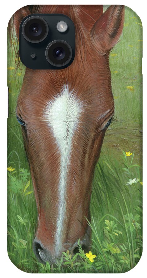 Horse iPhone Case featuring the painting Daisy Jane by Mike Brown